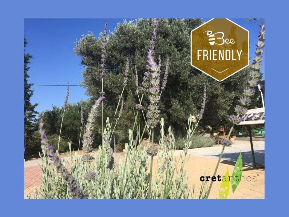 bee-friendly